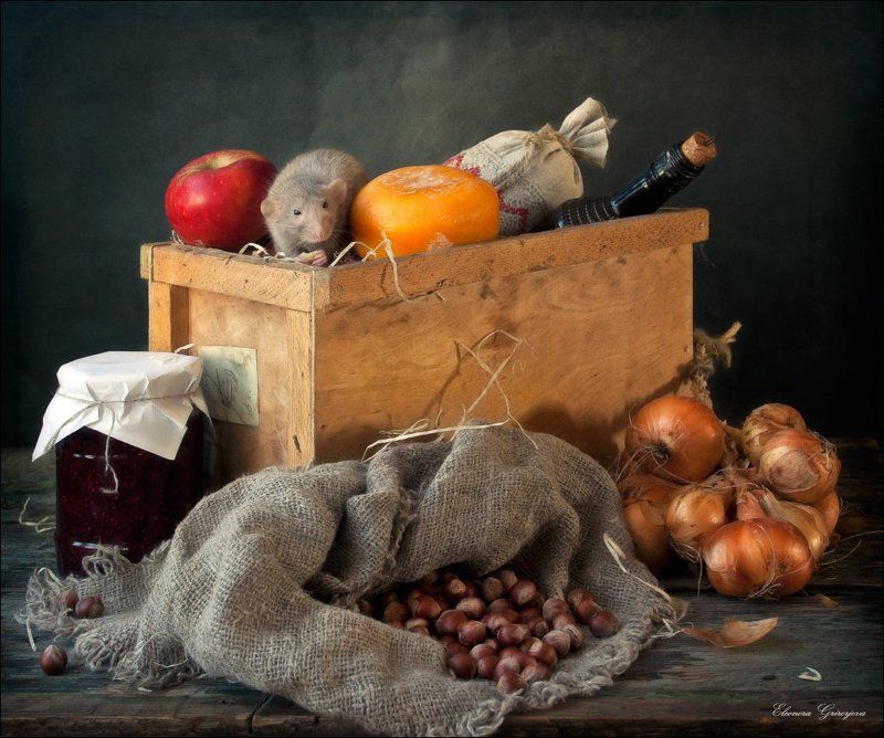 rats\'n\'cats, дамбо, кошки-мышки, крыса, натюркотики, фредди Истории из жизни Фредди фото превью