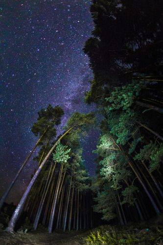 Под звездами