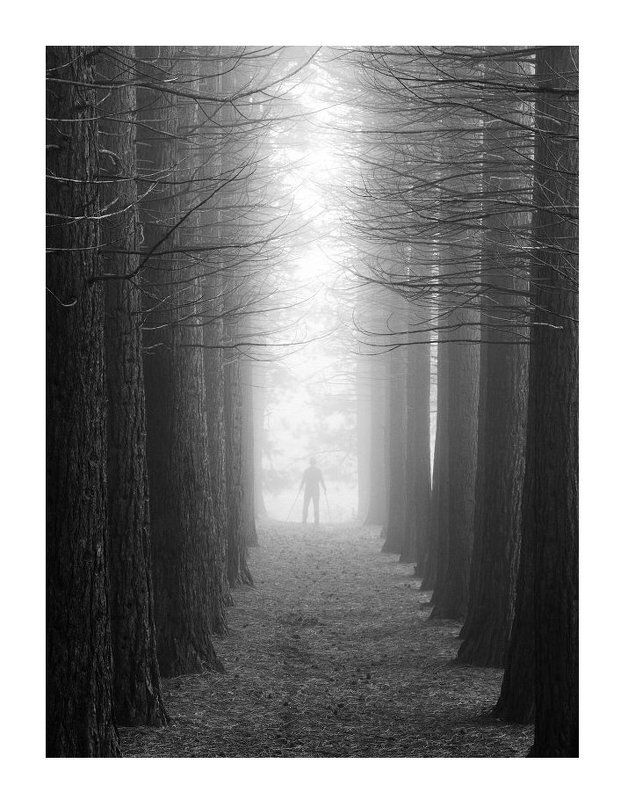 Пейзаж, Пленка К свету... фото превью