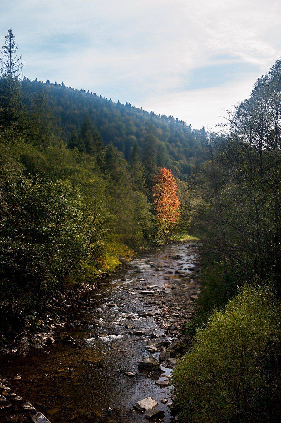 , Валерий Смирнов