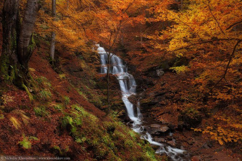 Водопад, Карпаты, Лес, Осень, Пейзаж, Украина Сокрытое в листве фото превью