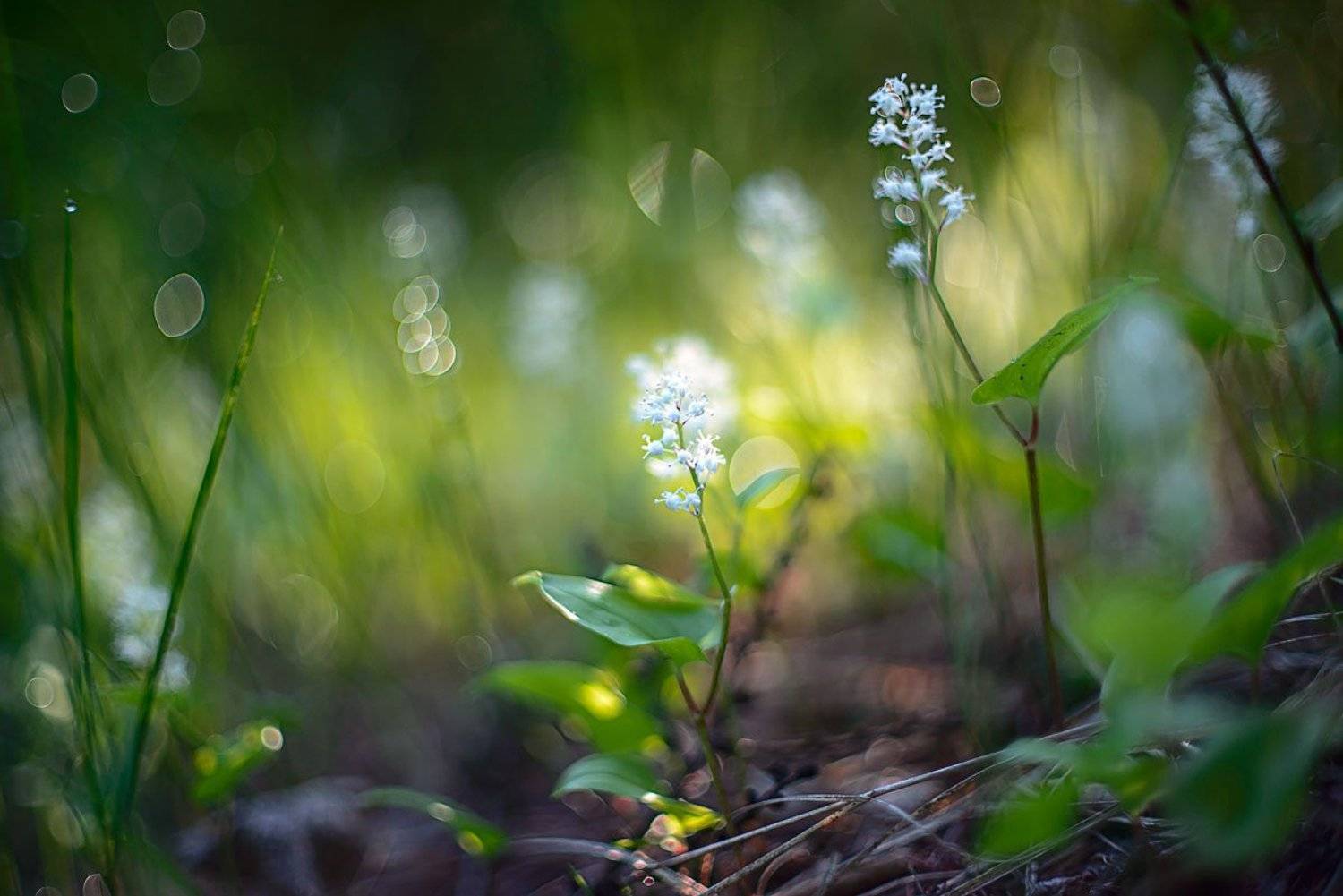 , Сергей Брагин