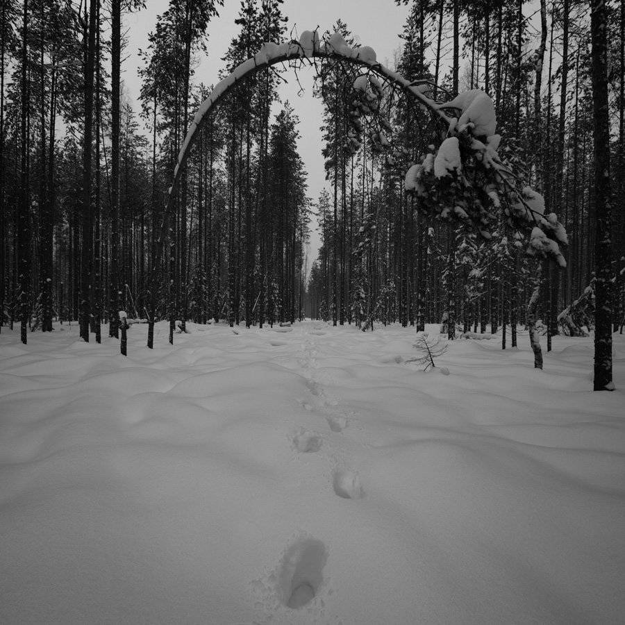 , Сергей