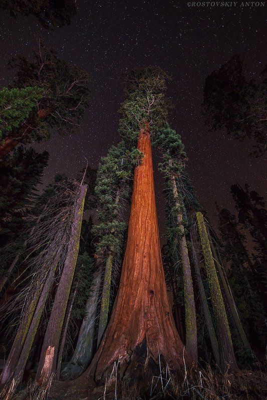 сквозь тернии к звёздам фото превью