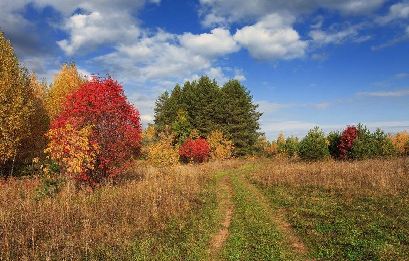 Цветные шары осени фото превью