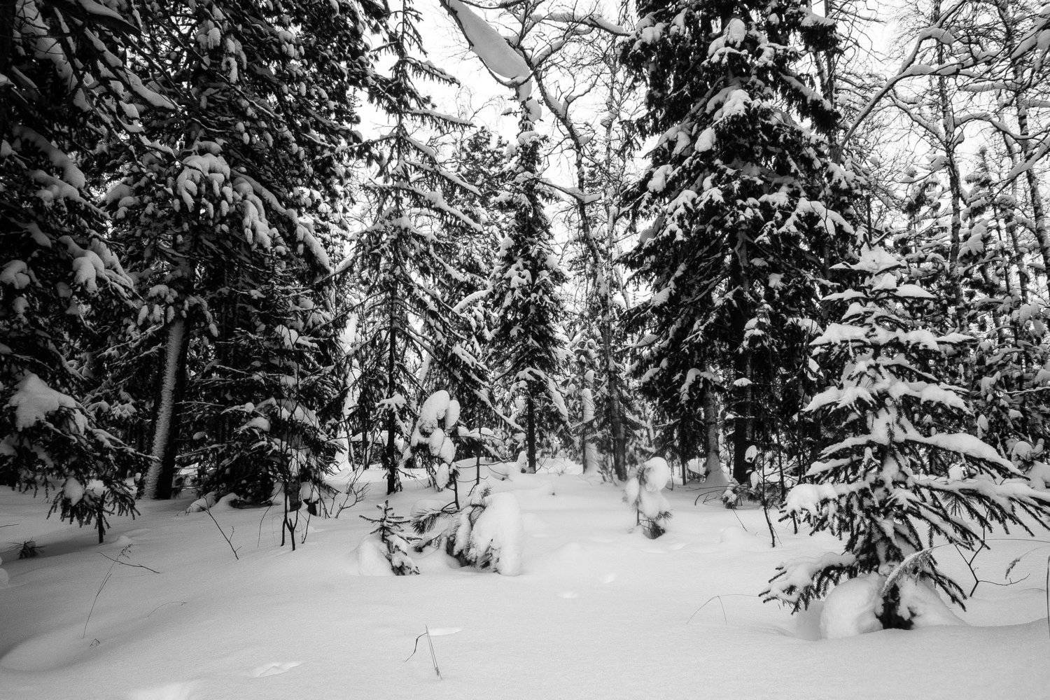 , Артем Пятницкий