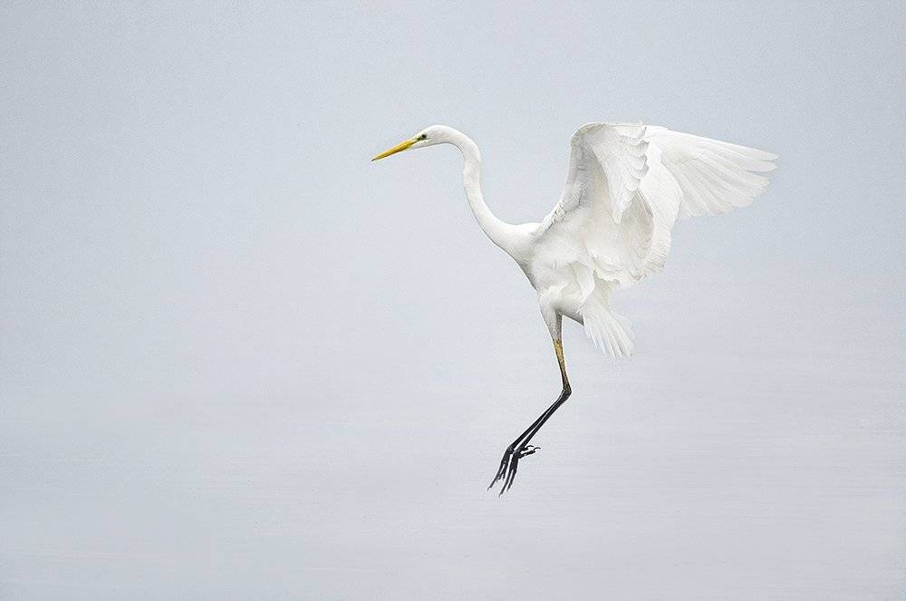 , Евгени Стефанов