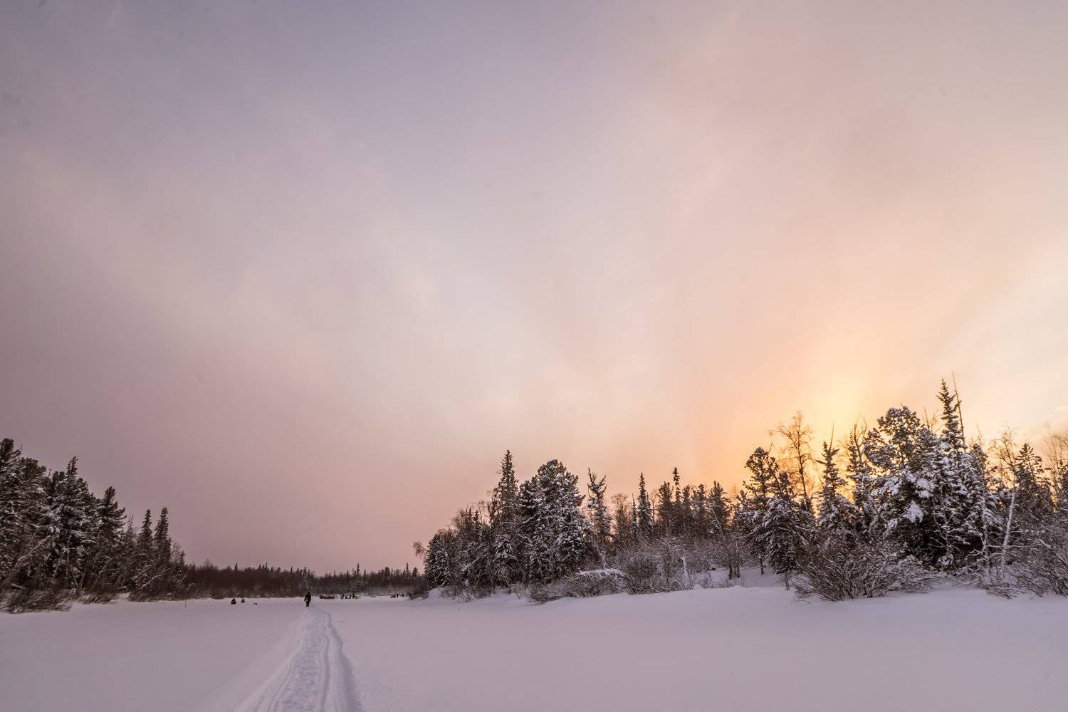 , Артем Пятницкий