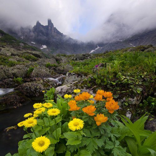 за облаками