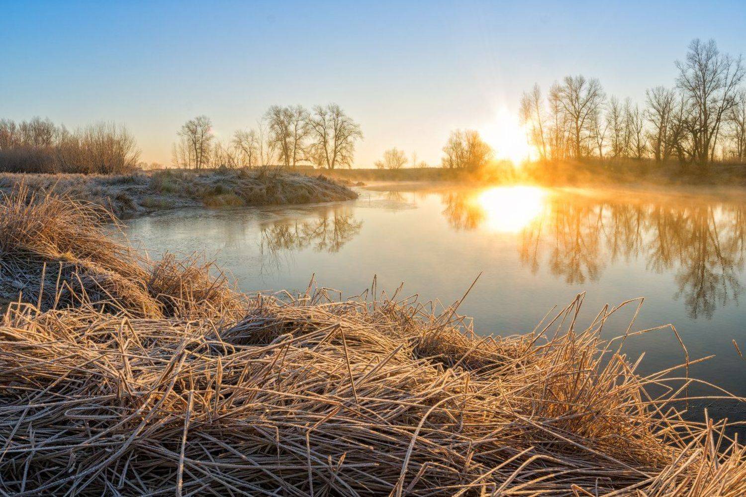 Ахтуба, рассвет, река, туман, первый лёд, Александр Сыроватский
