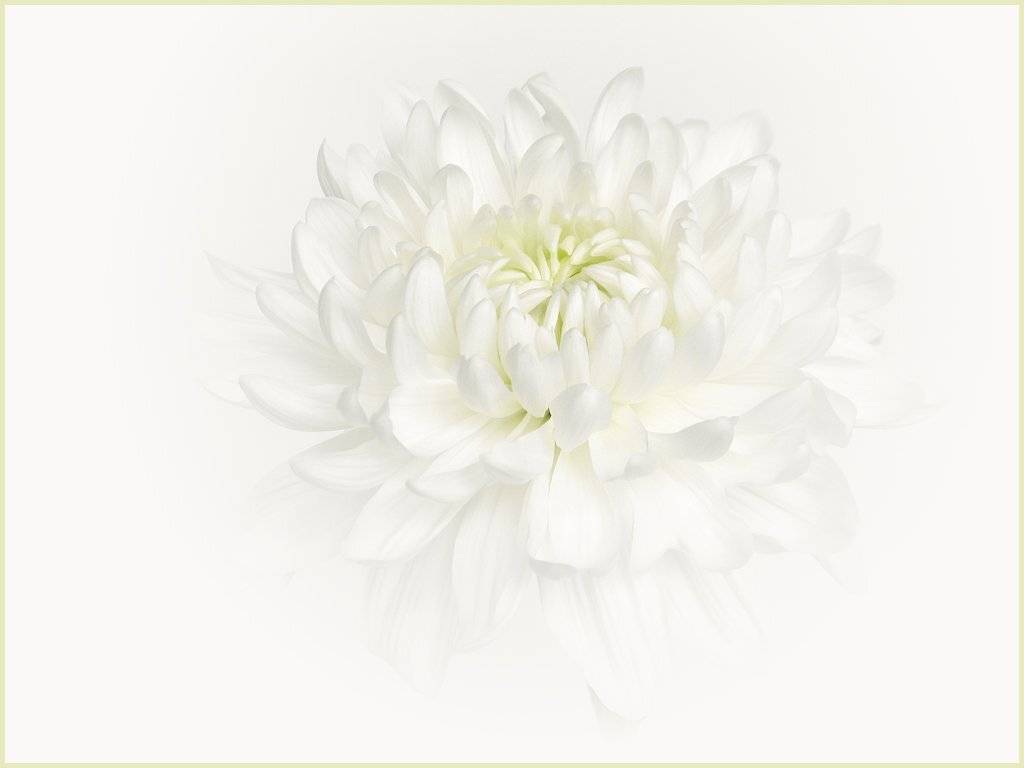 , ТАТЬЯНА ЗАХАРОВА