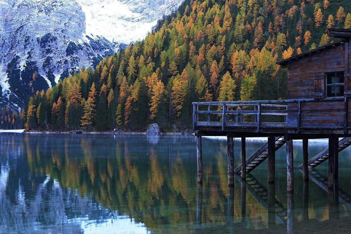 , Игорь Дубровский