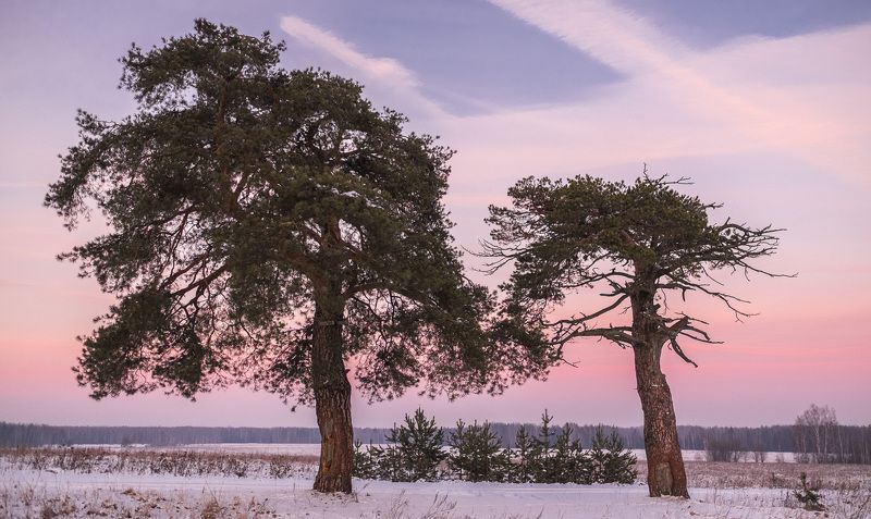 Fujifilm, xt1, fujinon Закат возле леса фото превью