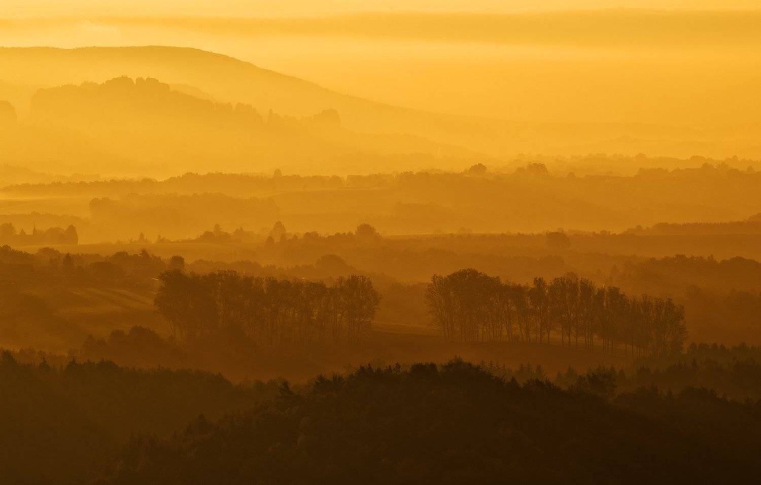 , Alexander Ravin (www.worldwidephoto.ru)