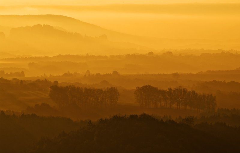 Осень. Почти зима. фото превью