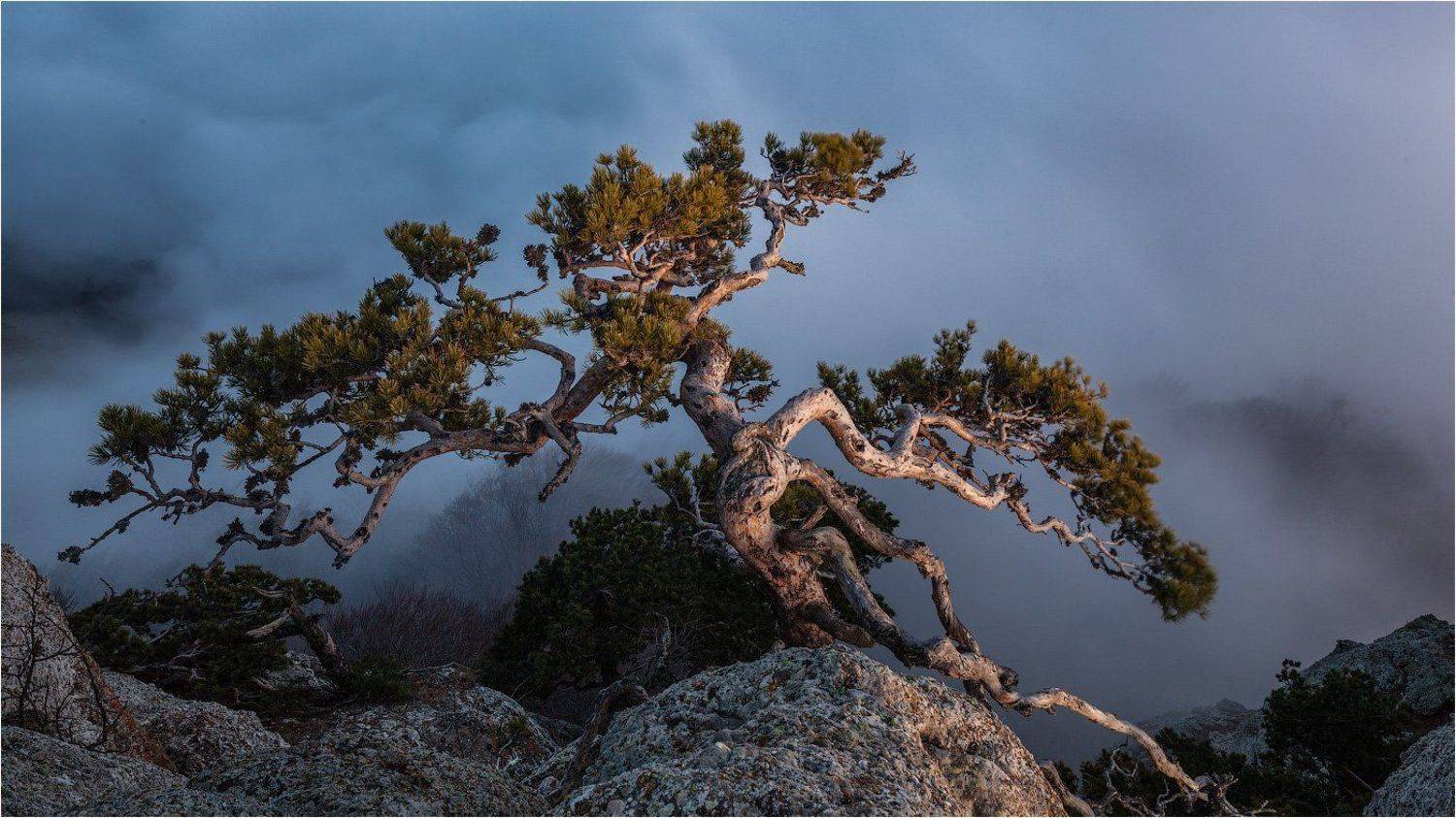 горы, демерджи, крым, Юрий (Phototours.pro) Шевченко