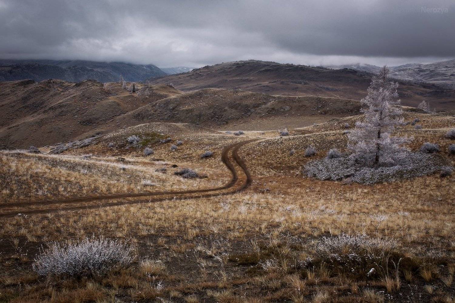 алтай, горы, камни, небо, пейзаж, погода, природа, путешествия, россия, северо-чуйский, сибирь, туризм, снег, Александр 'Horimono' Нерозя