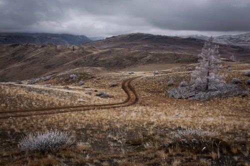 Седая осень