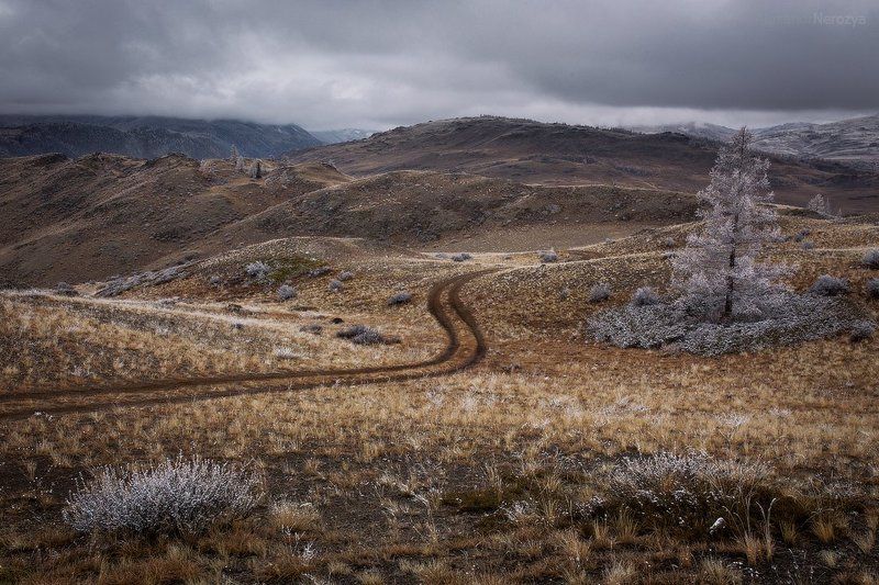алтай, горы, камни, небо, пейзаж, погода, природа, путешествия, россия, северо-чуйский, сибирь, туризм, снег Седая осень фото превью