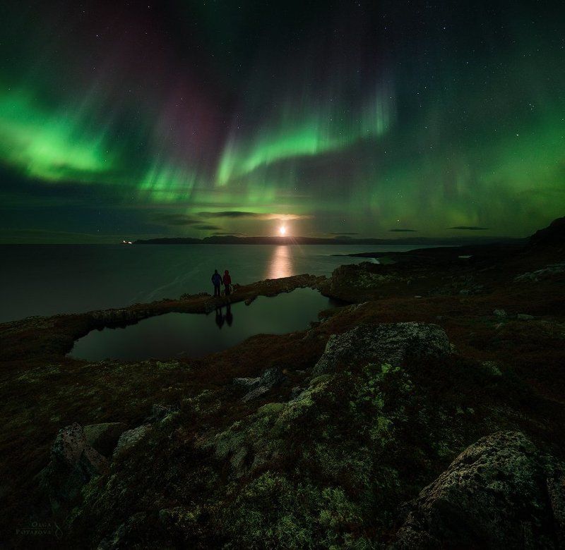 Aurora borealis, Баренцево море, Восход, Кольский полуостров, Луна, Ночной пейзаж, Северное сияние, Териберка, Тундра * * * фото превью