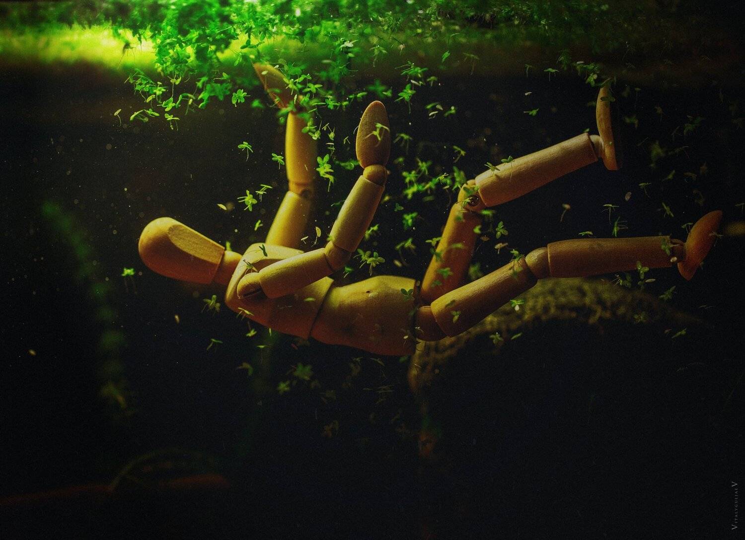 .gravitational dive.. Автор: Виталий Гуляев , Виталий Гуляев