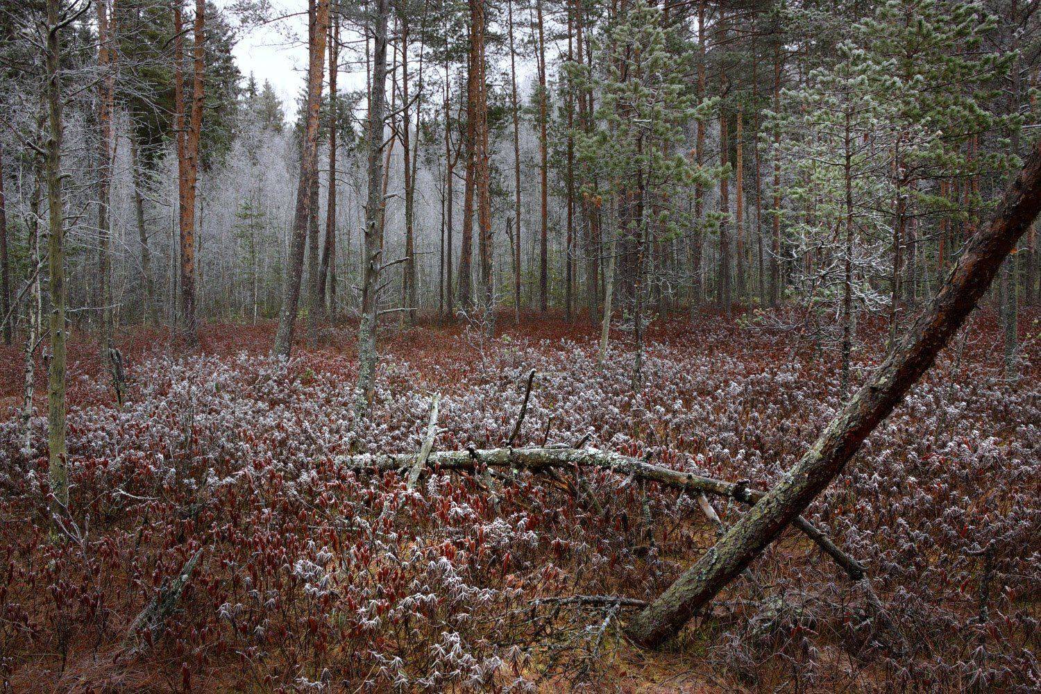 , Юрий Андреев