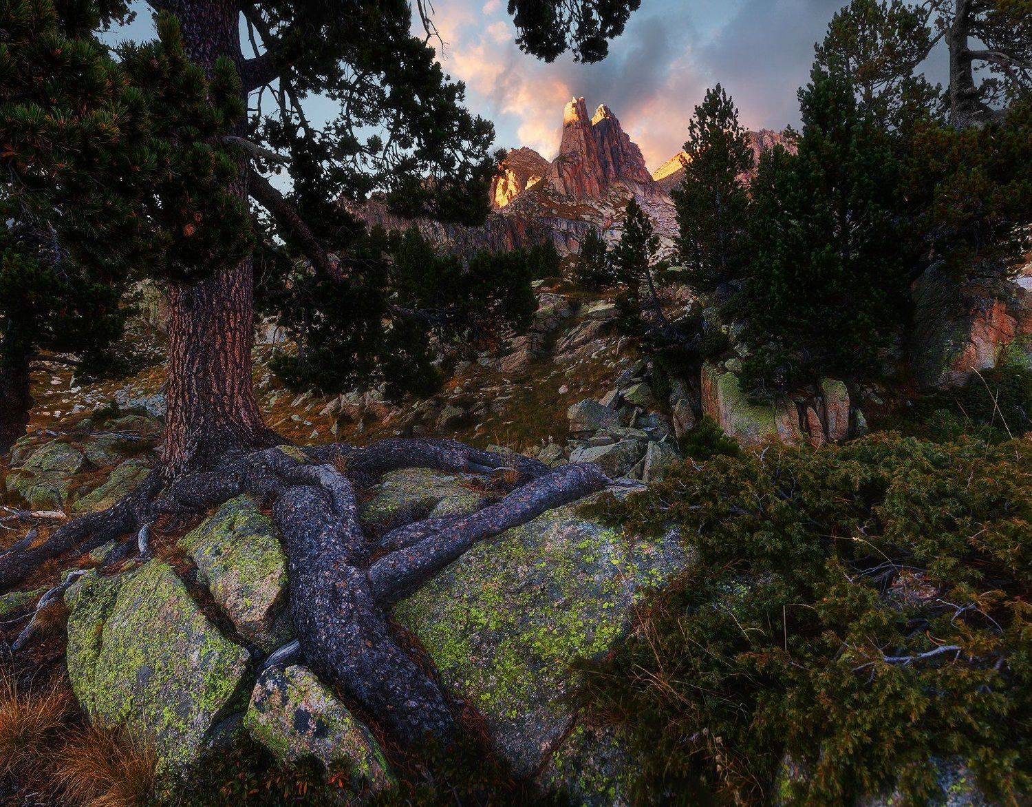 испания, spain, пиренеи, Сутковой Сергей