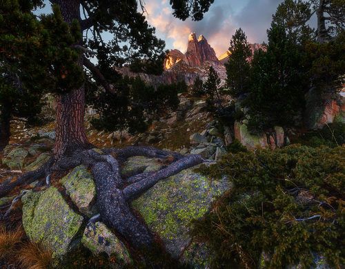 Иглы Амитжес