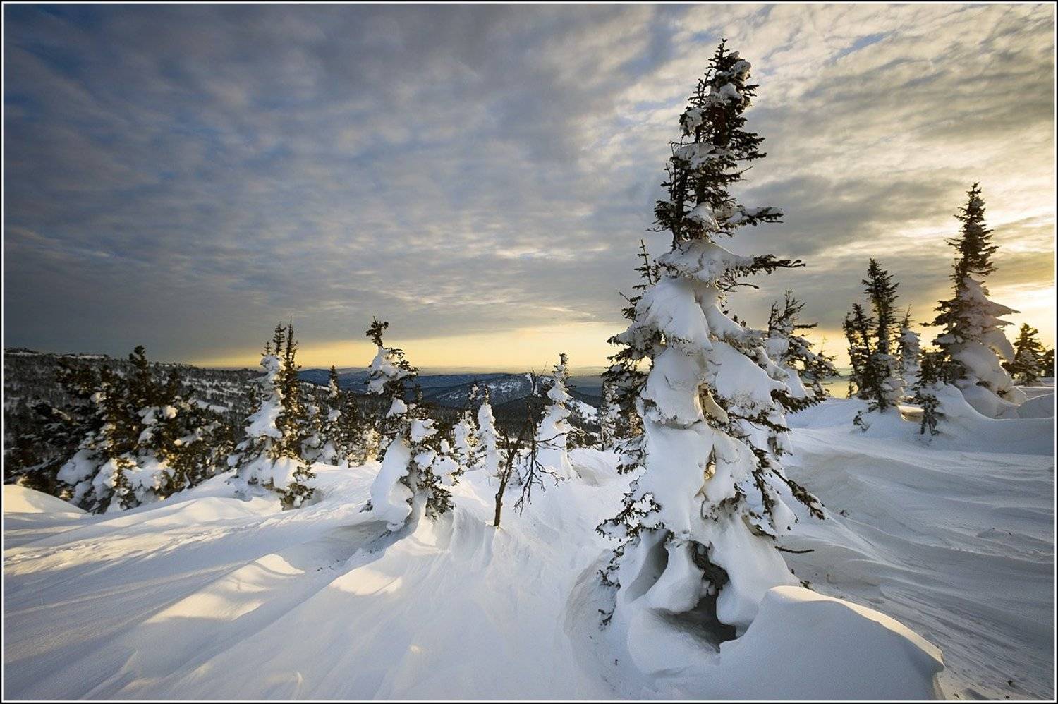 зима, снег, заснеженные, деревья, горная, шория, шерегеш, каритшал, андрей, стыврин, Андрей Стыврин