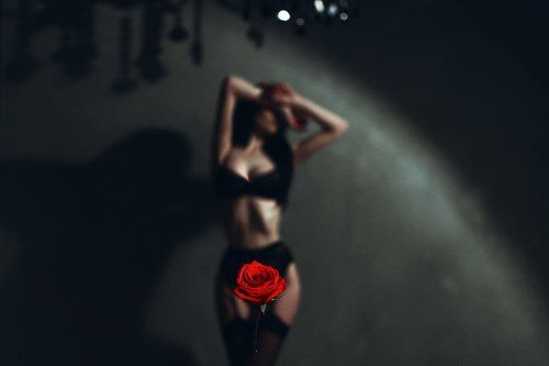 The Rose