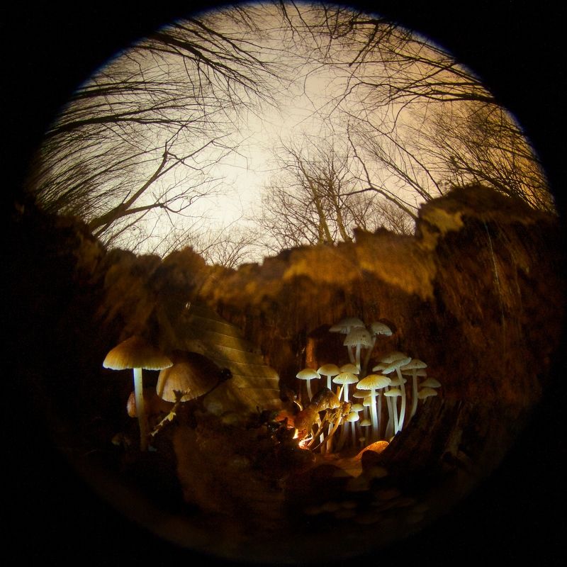 Призраки осени фото превью