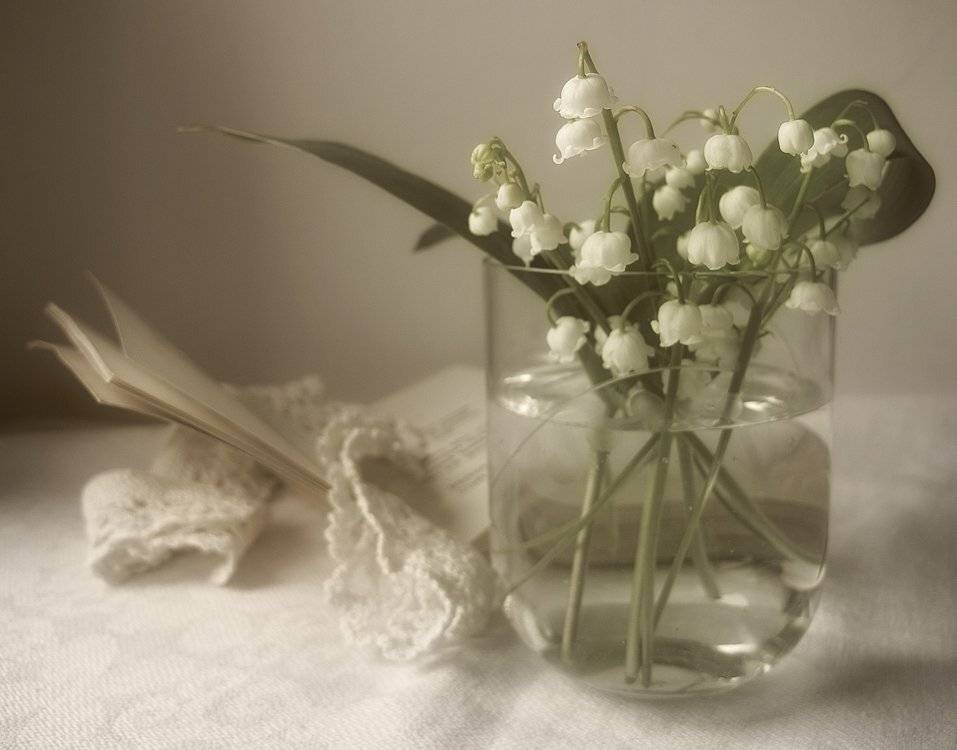 , ТАТЬЯНА ЗАХАРОВА