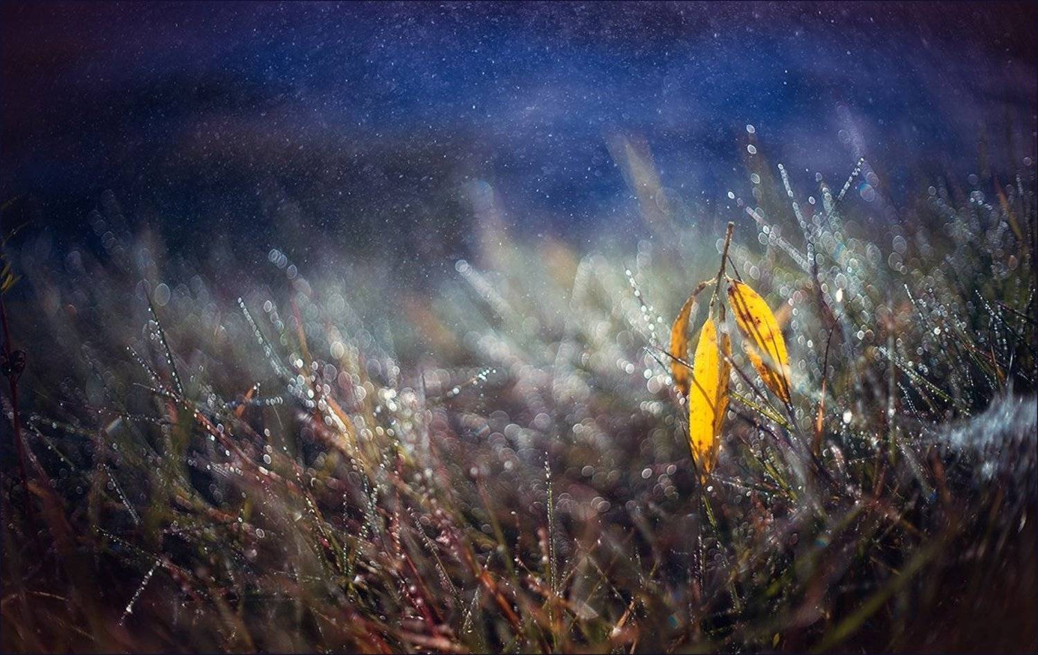 , Суханов Дмитрий