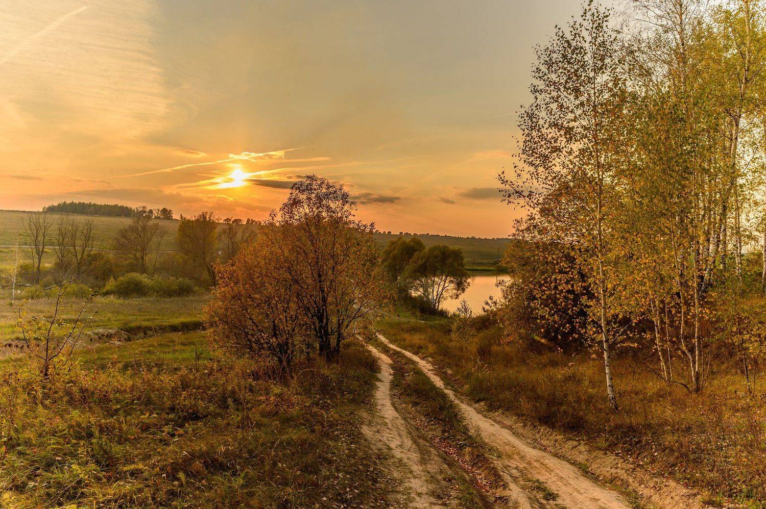 березы, вечер, деревья, дорога, закат, золотая осень, красота, осень, пейзаж, природа, россия,осенний пейзаж,autumn landscape,autumn,golden autumn, Юлия Лаптева