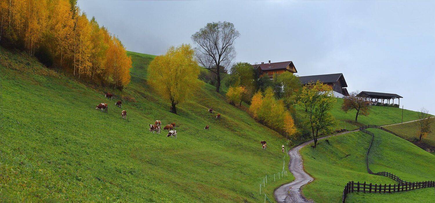 , Игорь Дубровский