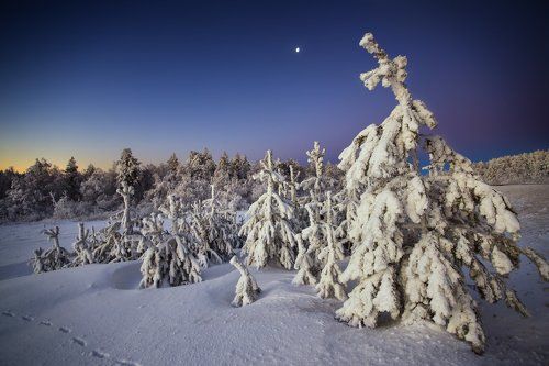 С первым днем зимы