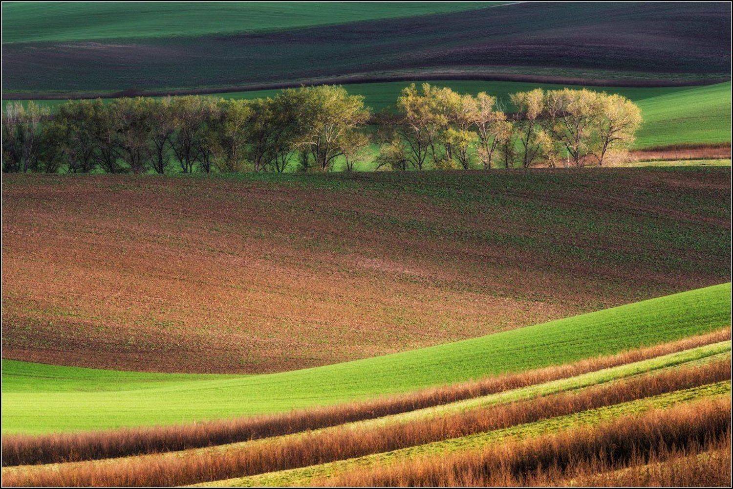 Чехия, Южно-Моравский край, Александр Марецкий