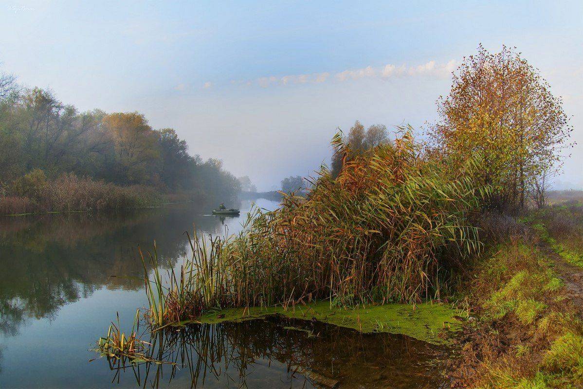 , Роман Красов