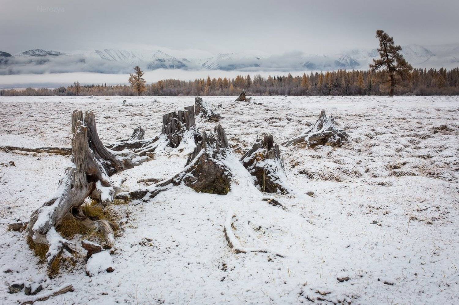 алтай, горы, камни, небо, пейзаж, погода, природа, путешествия, россия, северо-чуйский, сибирь, туризм, снег, Александр 'Horimono' Нерозя