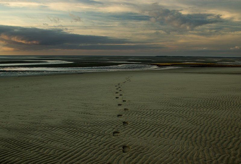 *следы на песке* фото превью