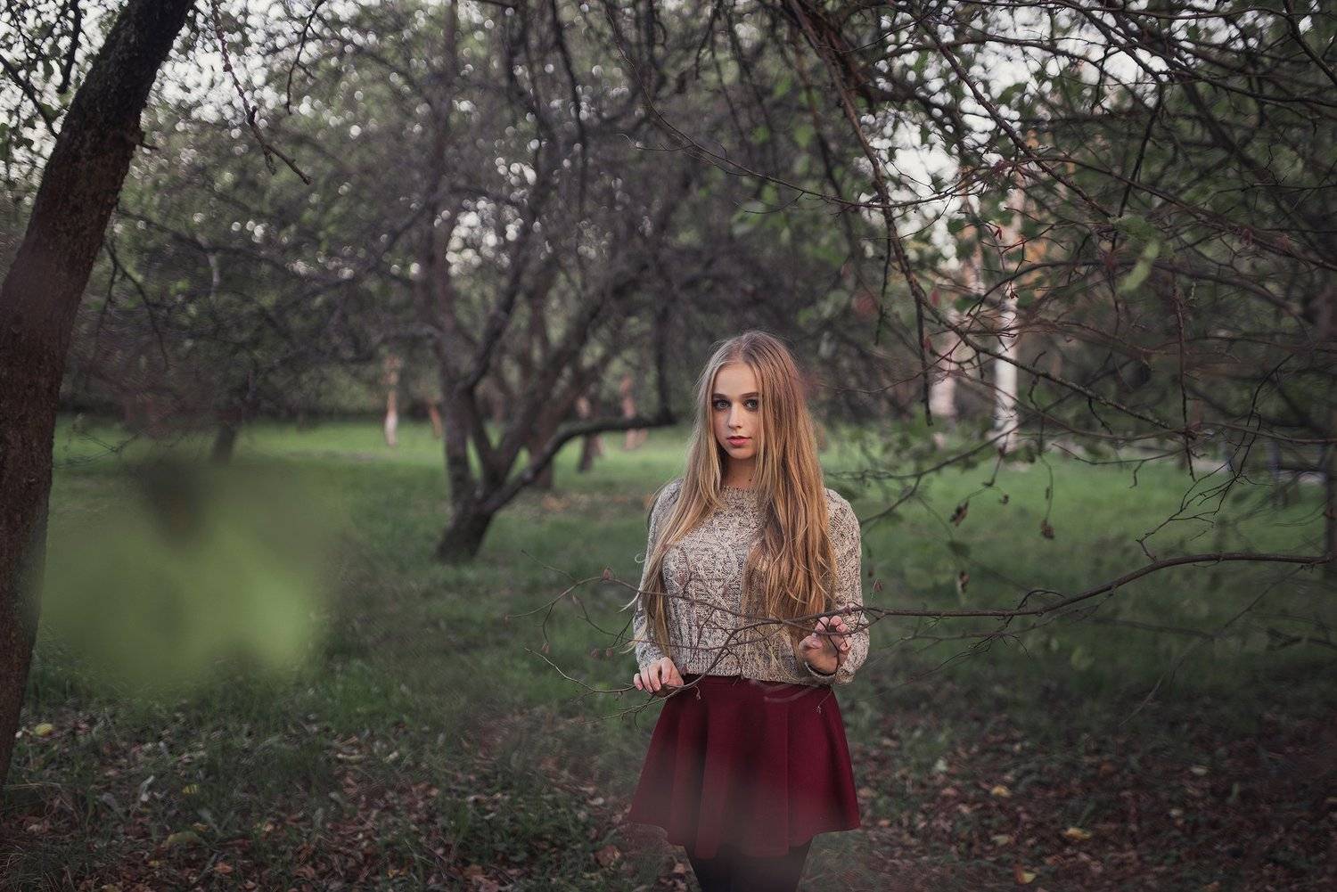 , Алексей Романовский