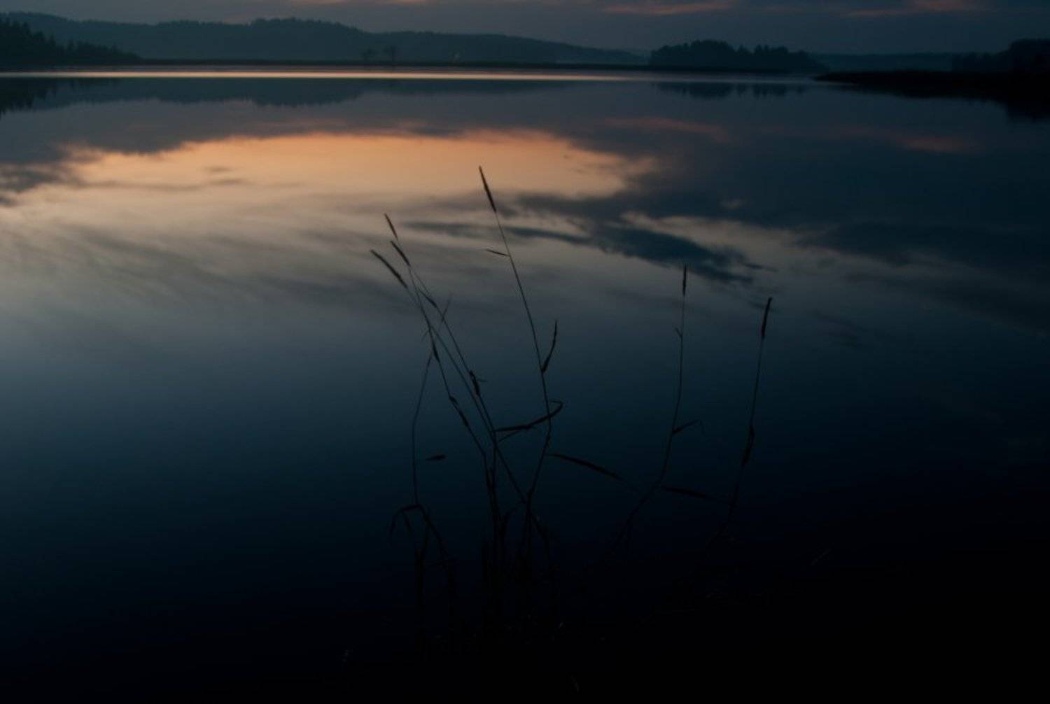 , Игорь Потемкинский