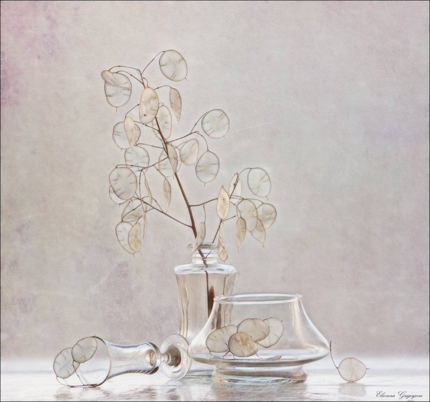 зима, лунария, натюрморт, стекло, Eleonora Grigorjeva