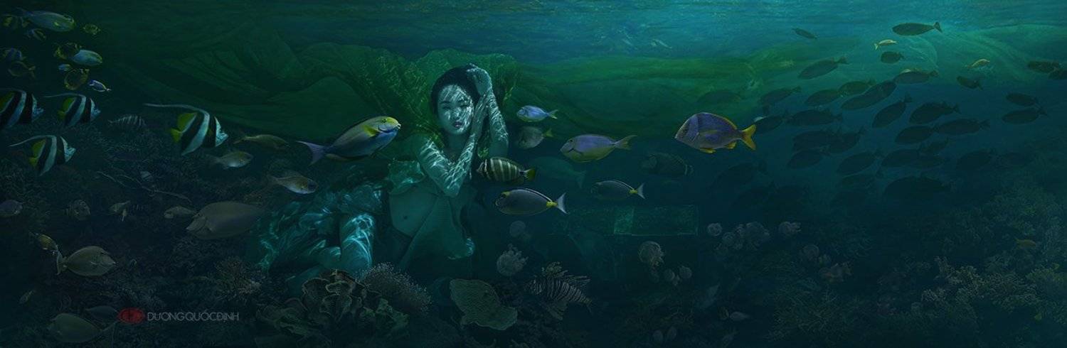 , duong quoc dinh