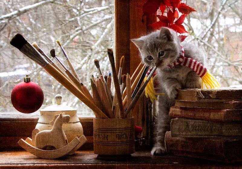 ~***~ фото превью