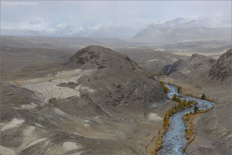 алтай, константин белошапкин, оазис, осень, полупустыня, чаган узун, чуйская долина, чуйская степь Река пустыни фото превью