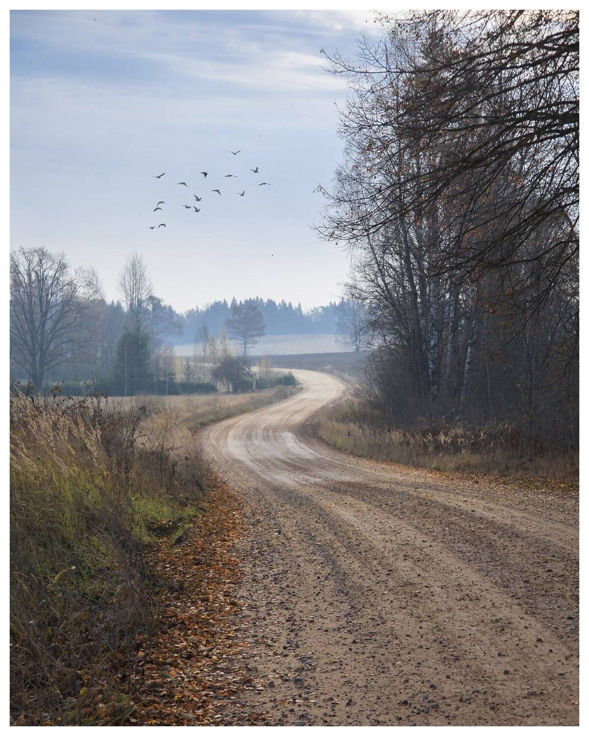 латвия осень утро, Aleksandr