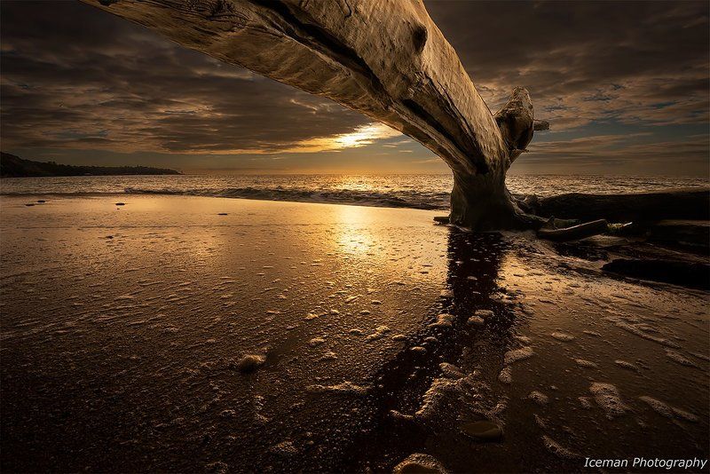 Утром фото превью