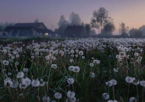 Летний вечер.