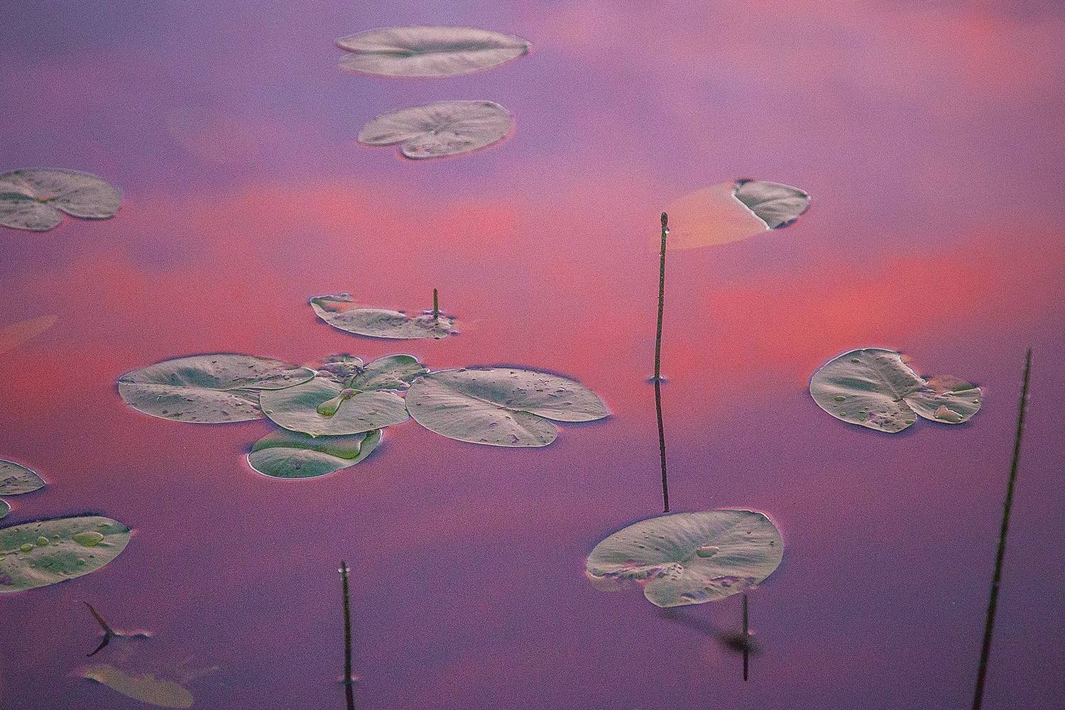 , Напалкин Станислав